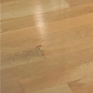 Meet your Posher, Eli